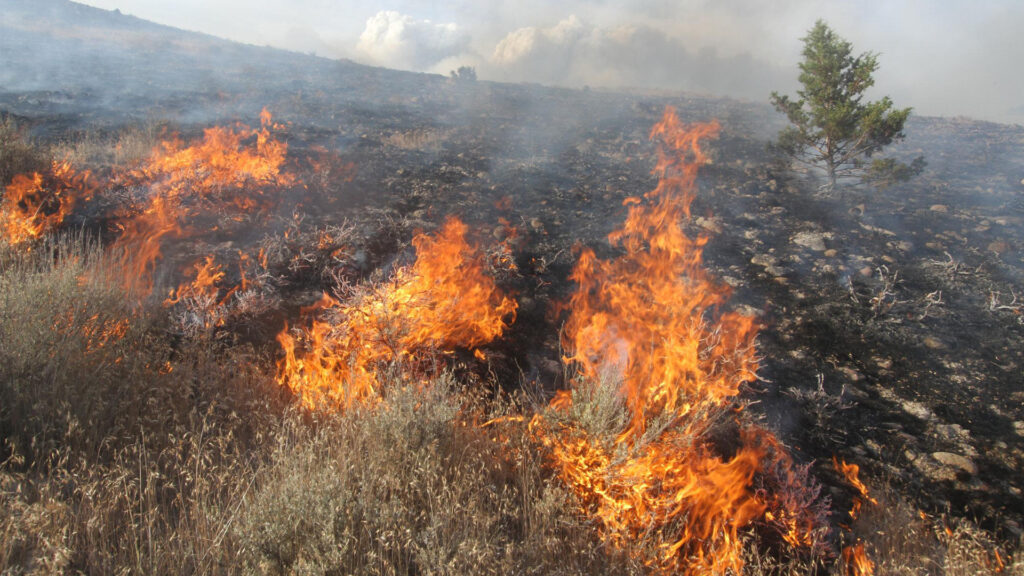 A wildfire in the Malheur National Forest in Burns, Oregon, in July 2024. (Forest Service Pacific Northwest Region, Public domain, via Wikimedia Commons)