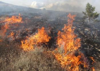 A wildfire in the Malheur National Forest in Burns, Oregon, in July 2024. (Forest Service Pacific Northwest Region, Public domain, via Wikimedia Commons)