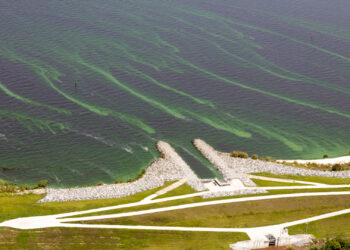 Algae in Lake Okeechobee (iStock image)