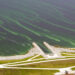Algae in Lake Okeechobee (iStock image)