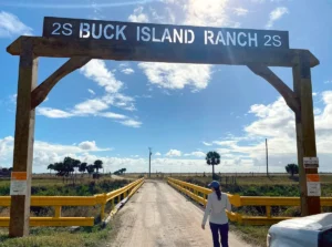 An entrance to Buck Island Ranch, a 10,500-acre working cattle farm in Highlands County, Florida (left). Agroecologist Elizabeth Boughton gestures to a grassy field of bluestems and sedges on Buck Island Ranch on Dec. 16. (Ayurella Horn-Muller/Grist)
