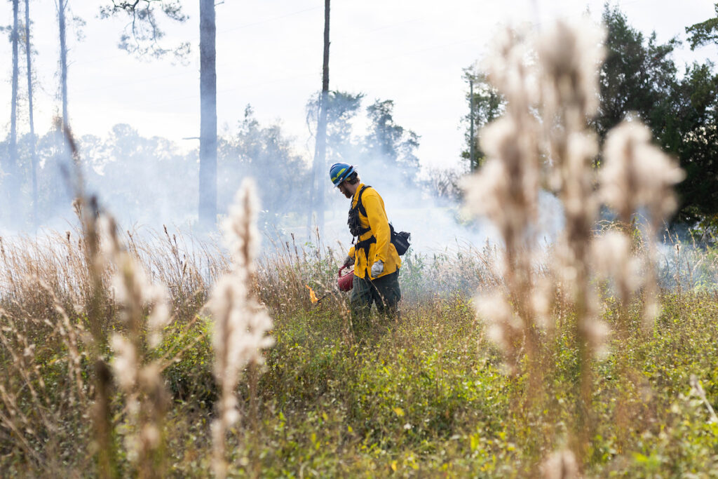 A firefighter conducts a prescribed burn at the UF/IFAS Ordway-Swisher Biological Station in Melrose. (Tyler Jones, UF/IFAS)