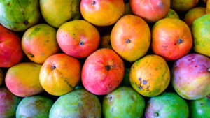 Mangoes grown in Florida (iStock image)