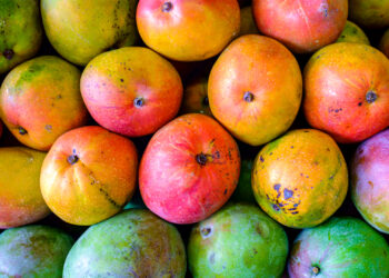 Mangoes grown in Florida (iStock image)