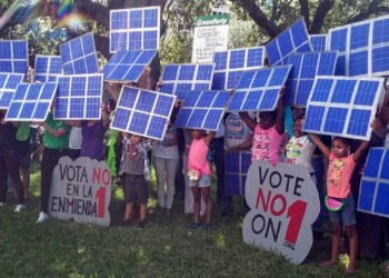 Green Party of Florida protest in Miami for solar power. (Photo courtesy of Green Party of Florida)