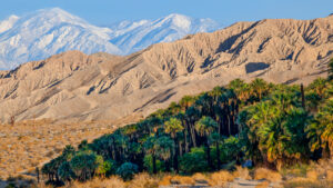 Sand to Snow National Monument in Southern California (BLM, Public domain, via Wikimedia Commons)