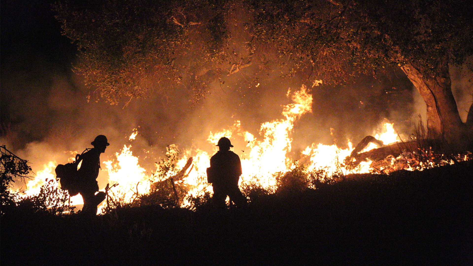 Firefighters battle a wildfire in California (iStock image)