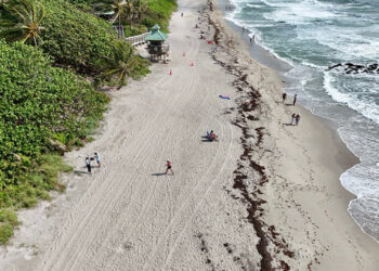 Tiffany Roberts Briggs, chair and associate professor in the FAU Department of Geosciences, is researching microplastics in coastal sediments. (FAU photo)