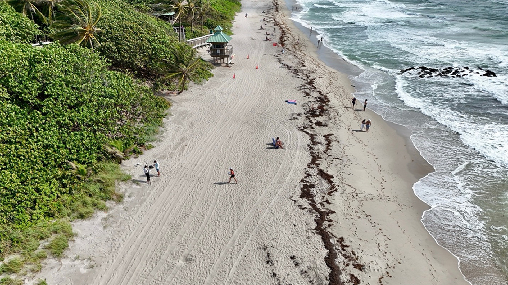 Tiffany Roberts Briggs, chair and associate professor in the FAU Department of Geosciences, is researching microplastics in coastal sediments. (FAU photo)