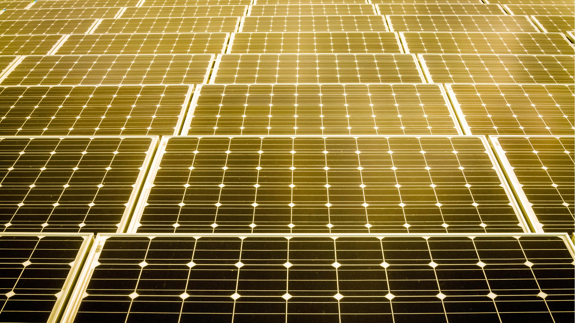 Rooftop solar panels at sunrise in Broward County (Paul Krashefski/U.S. Department of Energy, Public domain, via Wikimedia Commons)