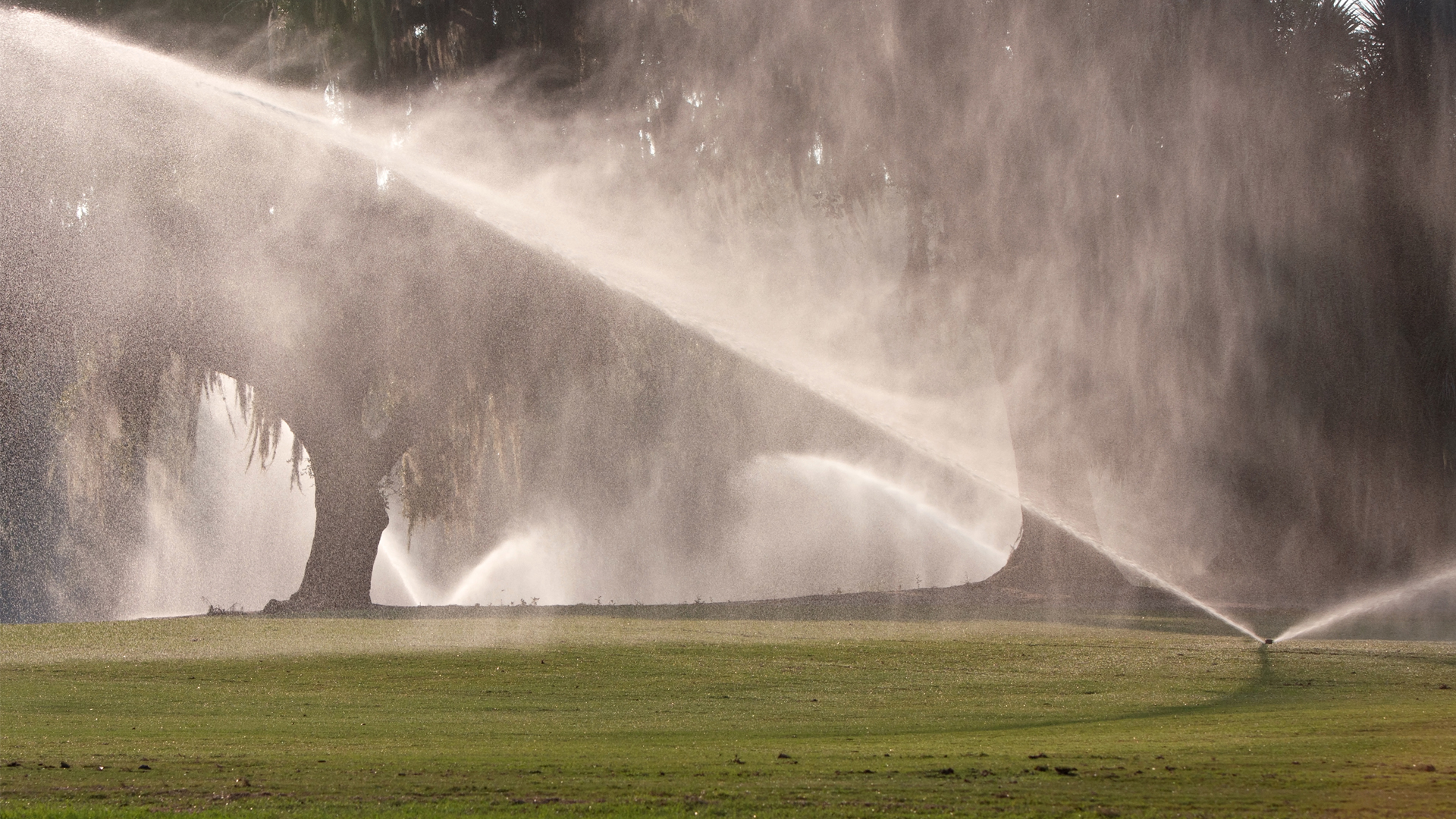 Sprinklers pour water on a golf course fairway in Florida (iStock image)