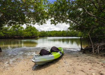 A kayak on shore along the bay in Oleta River State Park in North Miami Beach (iStock image)