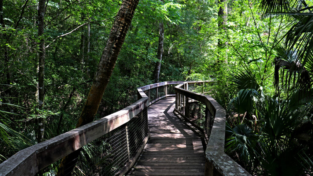 Hillsborough River State Park (iStock image)