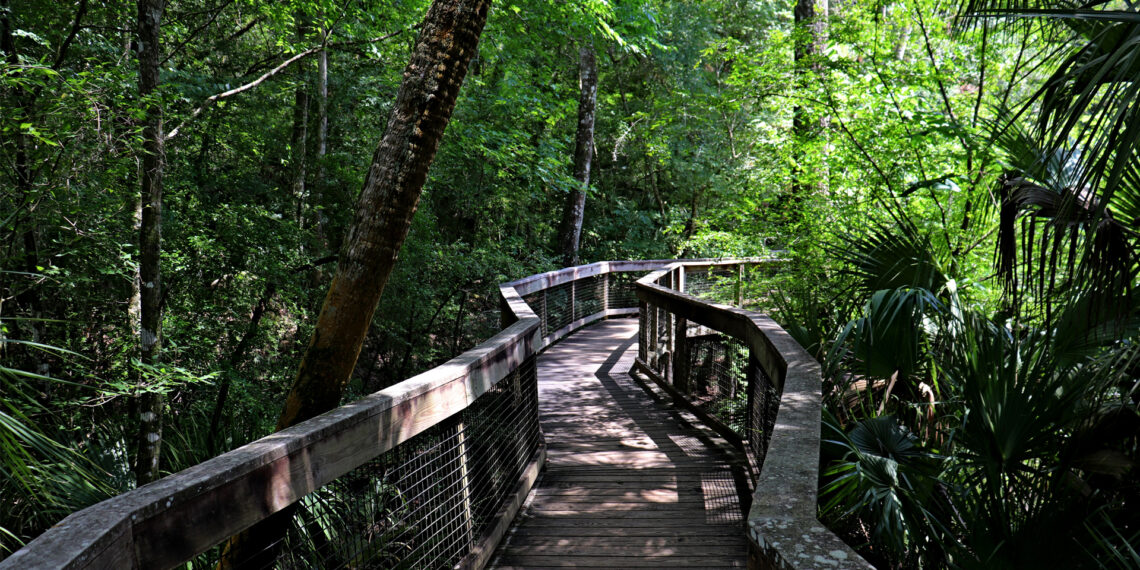 Hillsborough River State Park (iStock image)