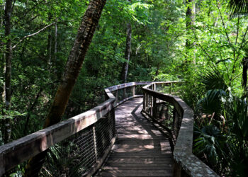 Hillsborough River State Park (iStock image)