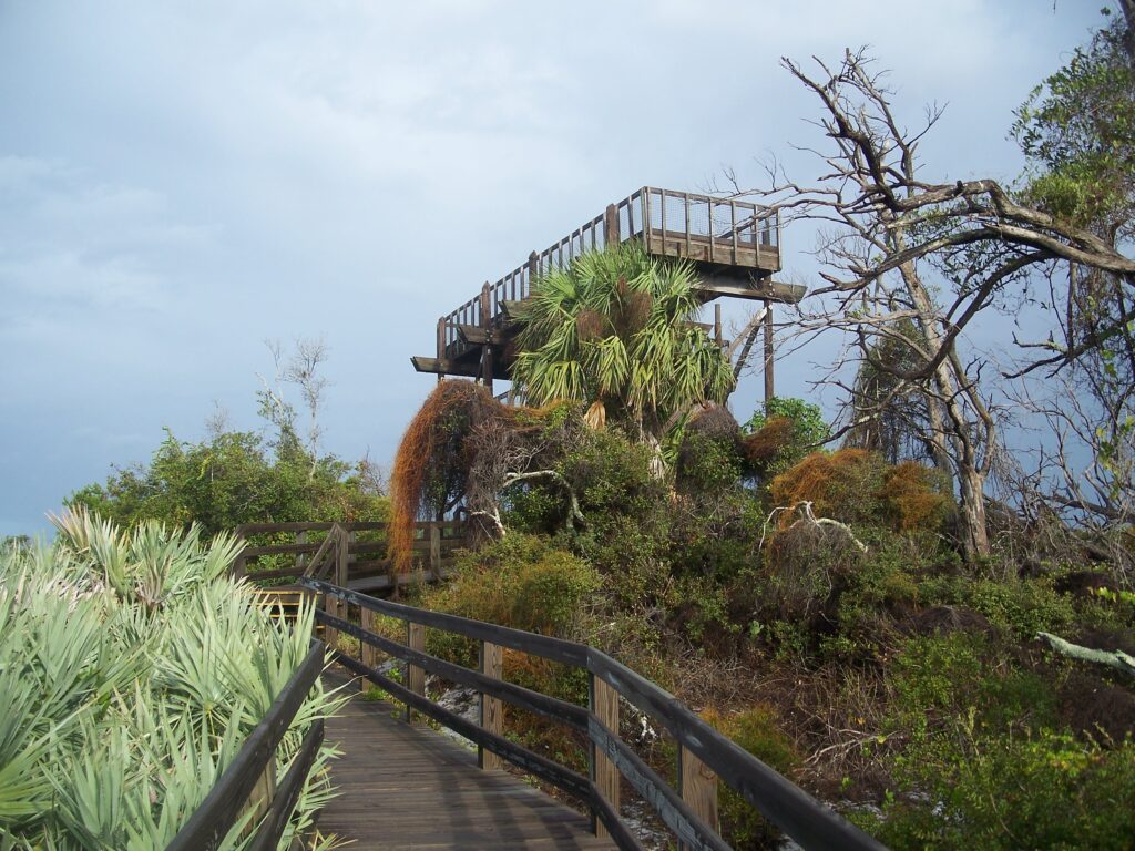 The observation tower at Jonathan Dickinson State Park (Ebyabe, CC BY-SA 3.0, via Wikimedia Commons)