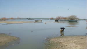 People depend on Lake Chad for water, but it has been shrinking. (Sani Ahmad Usman, CC BY-SA 4.0, via Wikimedia Commons)