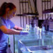 Ana Palacio, a research scientist at the University of Miami NOAA Cooperative Institute for Marine and Atmospheric Studies, inspects a healthy staghorn coral specimen in the Environmental Reef Lab at the Rosenstiel School. (Photo: Diana Udel)