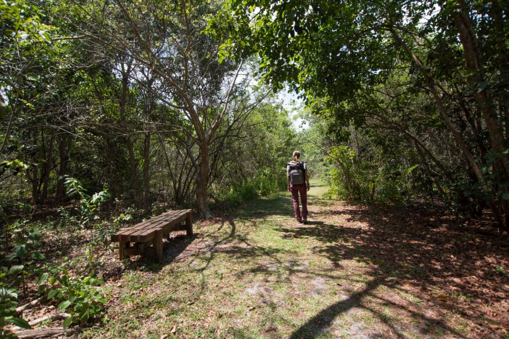 Jogging and walking paths are great for outdoor exercise and exploring nature. (Brittany Mason, UF/IFAS Fort Lauderdale Research and Education Center)
