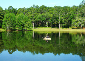 Conecuh National Forest is located in southeast Alabama, along its border with Florida. (iStock image)