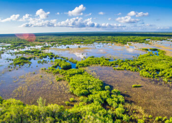 Everglades National Park tree islands (iStock image)