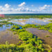 Everglades National Park tree islands (iStock image)