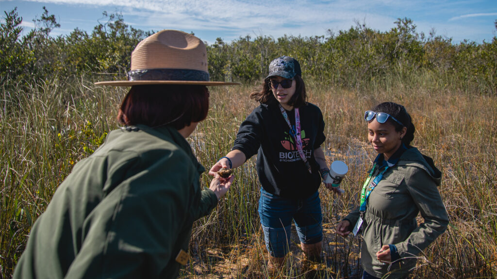 A park ranger takes part in an educational program with students at Everglades National Park (Everglades National Park, Public domain, via Wikimedia Commons)