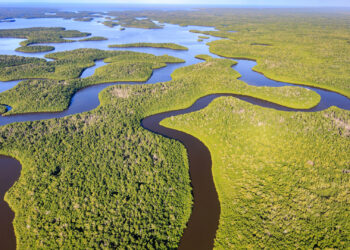 Waterways cut through the Everglades. (South Florida Water Management District/Flickr, CC BY-ND)