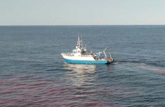 Woods Hole Oceanographic scientists disperse dye from a research vessel (Photo courtesy of Katie Carpenter)