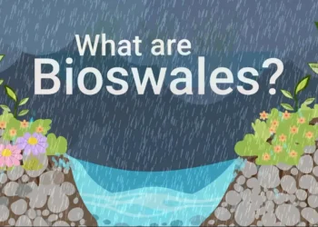 A screenshot from the bite-sized video, "What are bioswales?" (FAU CES)