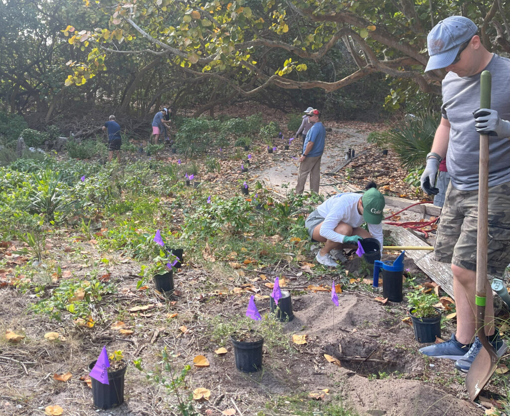 A habitat restoration project conducted in Delray Beach as part of Earth Month activities. (Photo courtesy of Kent Edwards)