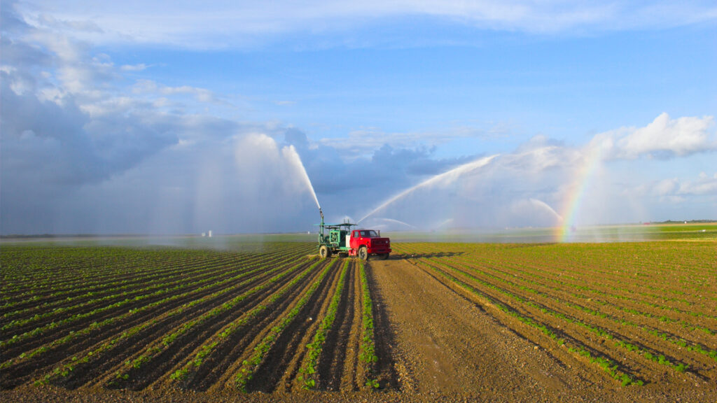 Crops are watered on a Florida farm (iStock image)