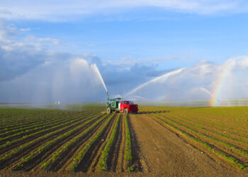 Crops are watered on a Florida farm (iStock image)