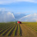 Crops are watered on a Florida farm (iStock image)