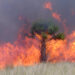 A wildfire on the St. Johns National Wildlife Refuge (U.S. Fish and Wildlife Service Southeast Region, Public domain, via Wikimedia Commons)