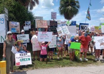 Protest at Honeymoon Park in Dunedin on Aug. 27, 2024. (Photo by Mitch Perry/Florida Phoenix)
