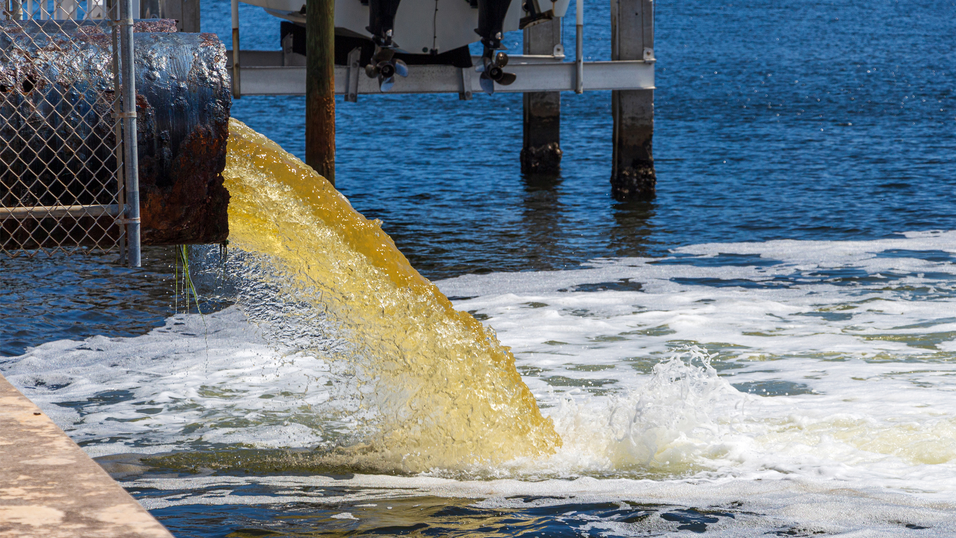 Polluted water pours from a pipe into a lake in Florida (iStock image)