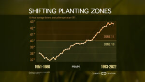 A Climate Central analysis found an increase in average low temperatures is shifting planting zones in locations such as Miami (Climate Central graphic)
