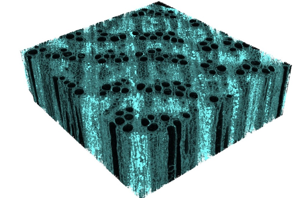 A microCT image shows the distribution of the iron mineral in the wood cell wall (in turquoise). (FAU)
