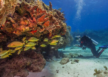 Biscayne National Park (NPS image by Shaun Wolfe)