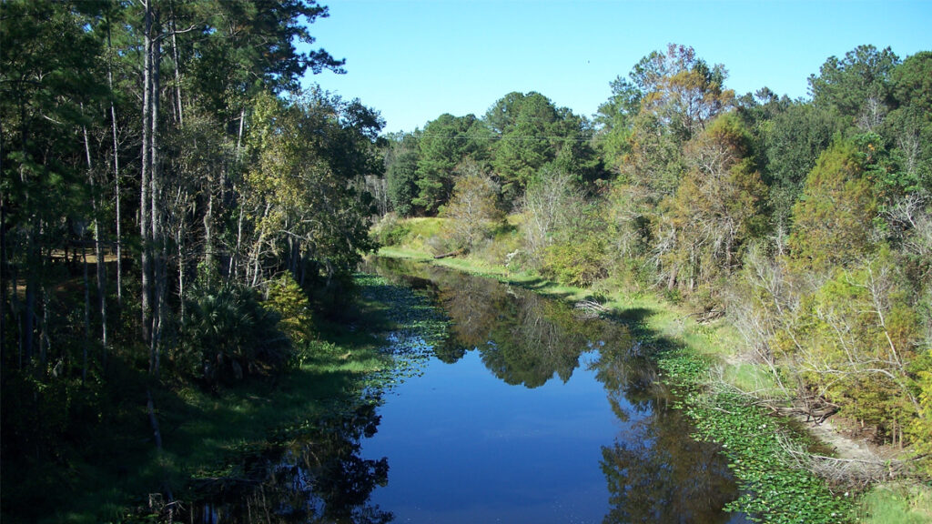 The Ocklawaha River (Ebyabe, CC BY-SA 2.5, via Wikimedia Commons)