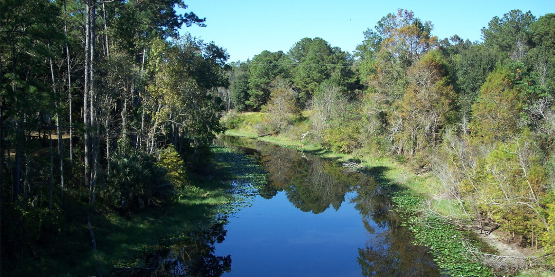 The Ocklawaha River (Ebyabe, CC BY-SA 2.5, via Wikimedia Commons)