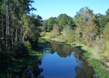 The Ocklawaha River (Ebyabe, CC BY-SA 2.5, via Wikimedia Commons)