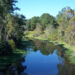 The Ocklawaha River (Ebyabe, CC BY-SA 2.5, via Wikimedia Commons)