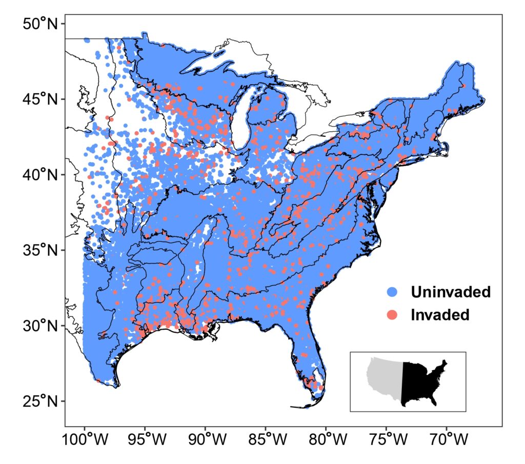 This map represents the locations and region of recorded plots in the eastern United States used for the study. The data spans the years 1995-2023. The dataset includes 59,177 plot locations and 5,592,607 individual tree measurements. (Image courtesy of Yunpeng Liu, UF/IFAS Invasion Science Research Institute)