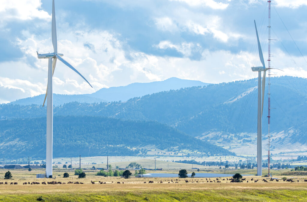 A herd of elk roams through the field near the Flatirons Campus of the National Renewable Energy Laboratory (NREL) in Arvada, Colo. in 2023. Renewable energy is surging in the United States, a new report finds, but investors in new clean energy projects are pulling back amid uncertainty over the Trump administration’s moves to gut policies and projects aimed at reversing climate change. (Werner Slocum/National Renewable Energy Laboratory)