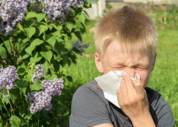 A boy sneezes (iStock image)