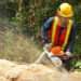 A chainsaw being used to cut a tree (Diego Tirira, CC BY-SA 2.0, via Wikimedia Commons)