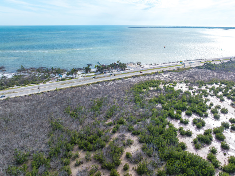 Coastal mangroves (Photo courtesy Sanibel-Captiva Conservation Foundation)