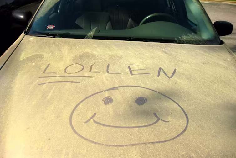On heavy pollen days, cars can end up covered in yellow grains. (Scott Akerman/Flickr, CC BY)